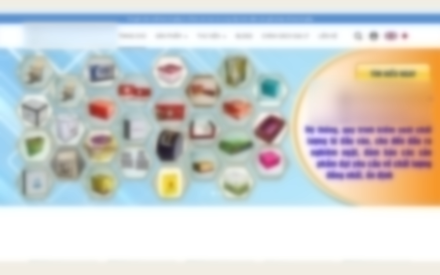 Ảnh chụp website trước điều chỉnh đã làm mờ thông tin nhận diện